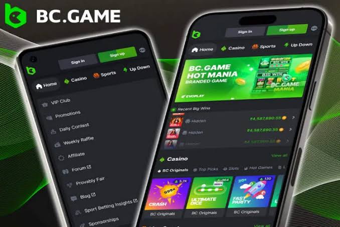Exploring BC.Game Jordan The Future of Online Gaming 913126942